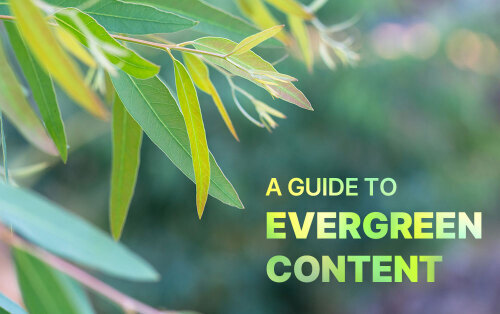 Evergreen eucalyptus leaves with text overlaying